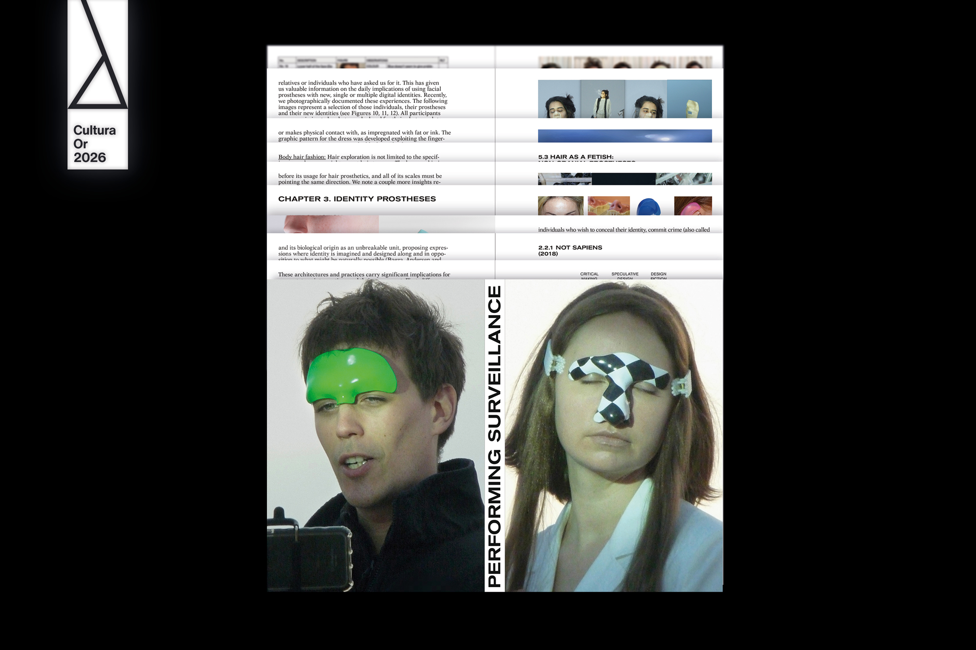 Performing Surveillance (PhD Thesis)